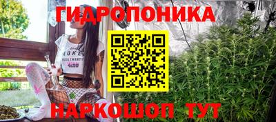 прущие грибы Гагарин