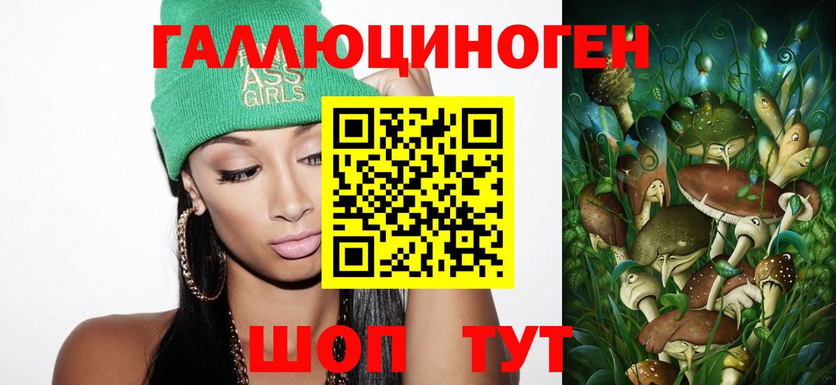 купить   Вход с VPN  Нижний Новгород  Псилоцибиновые грибы мицелий 