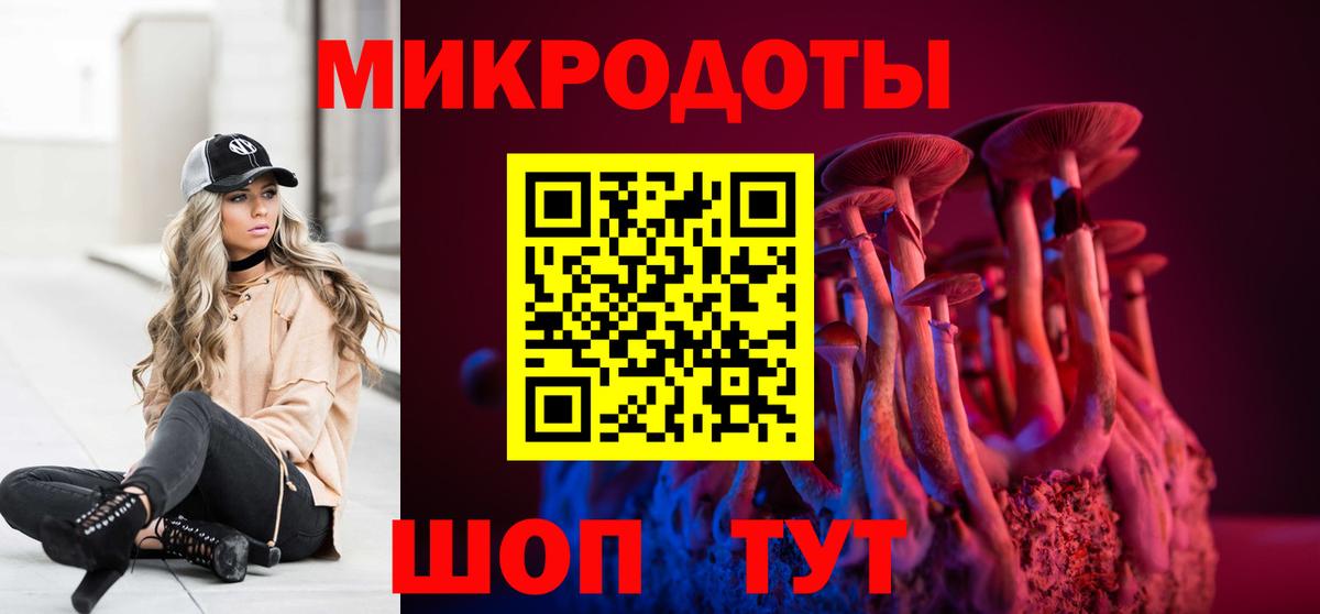 Псилоцибиновые грибы Psilocybe Нижний Новгород